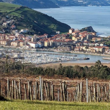 Apartamento Zumaia Basque Alai Exterior foto