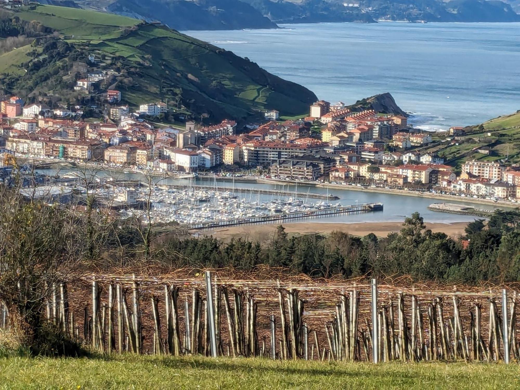 Apartamento Zumaia Basque Alai Exterior foto